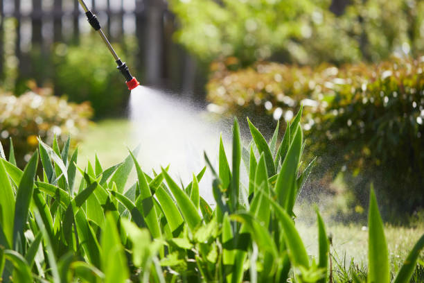24/7 Emergency Ant Control experts in Ponce Inlet, FL