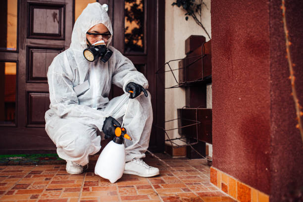 Reliable Ant Control contractor in Ponce Inlet, FL by Nex Pest Control